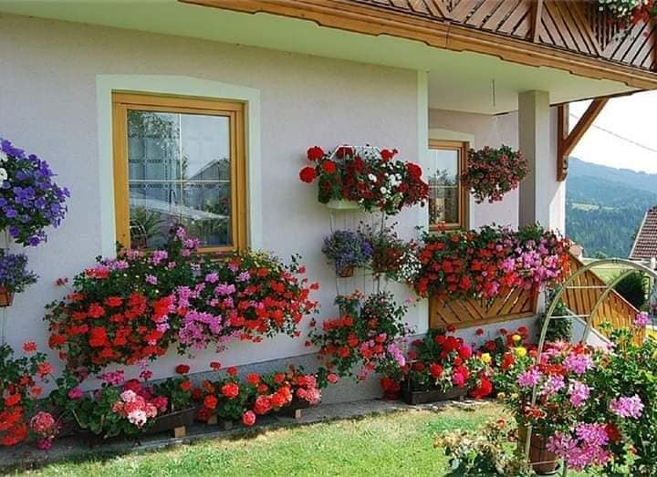 Some Home and Garden Decorating Ideas (1)