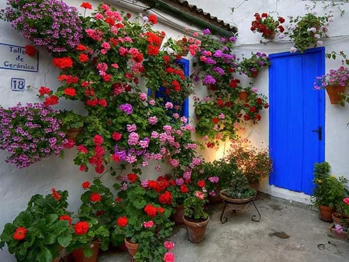 Some Home and Garden Decorating Ideas (2)
