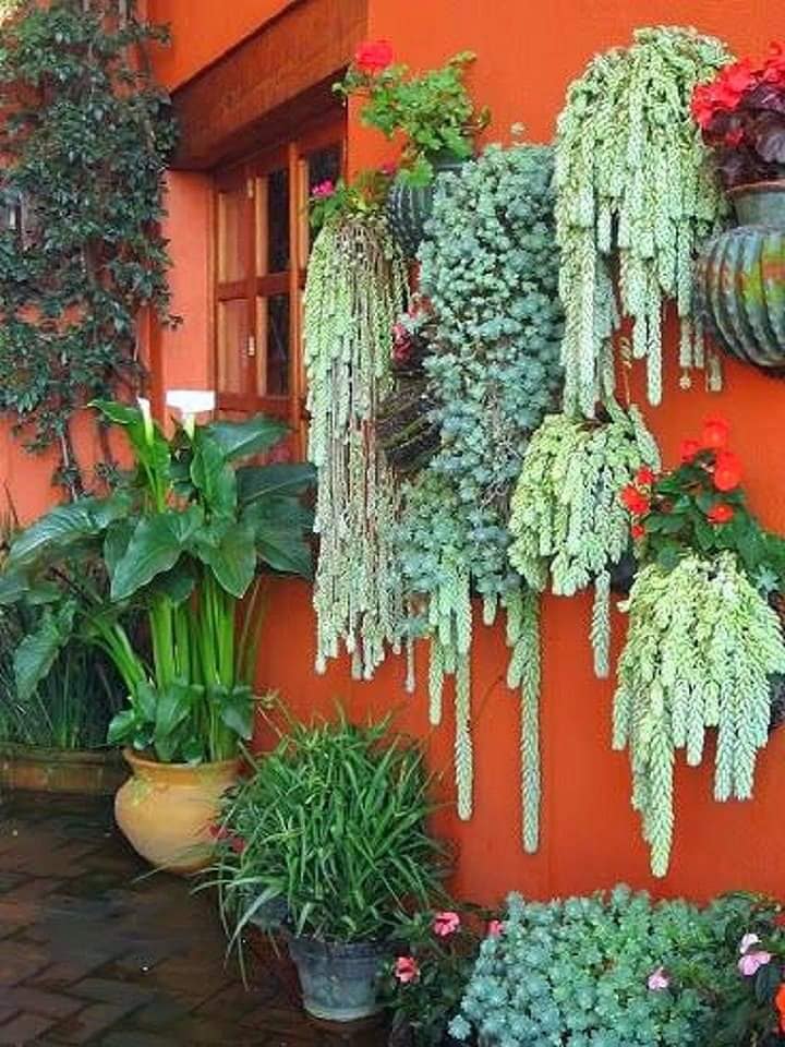 Some Home and Garden Decorating Ideas (7)