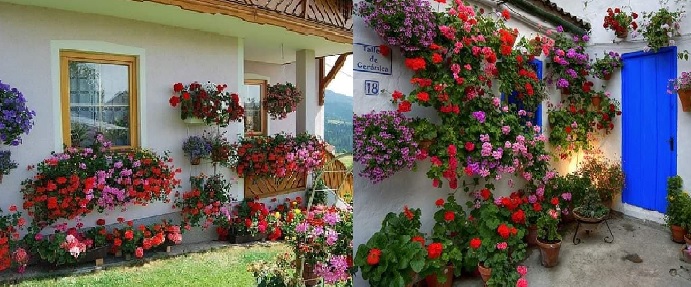 Spring comes with the most beautiful DIY flower decorating ideas for your garden and yard
