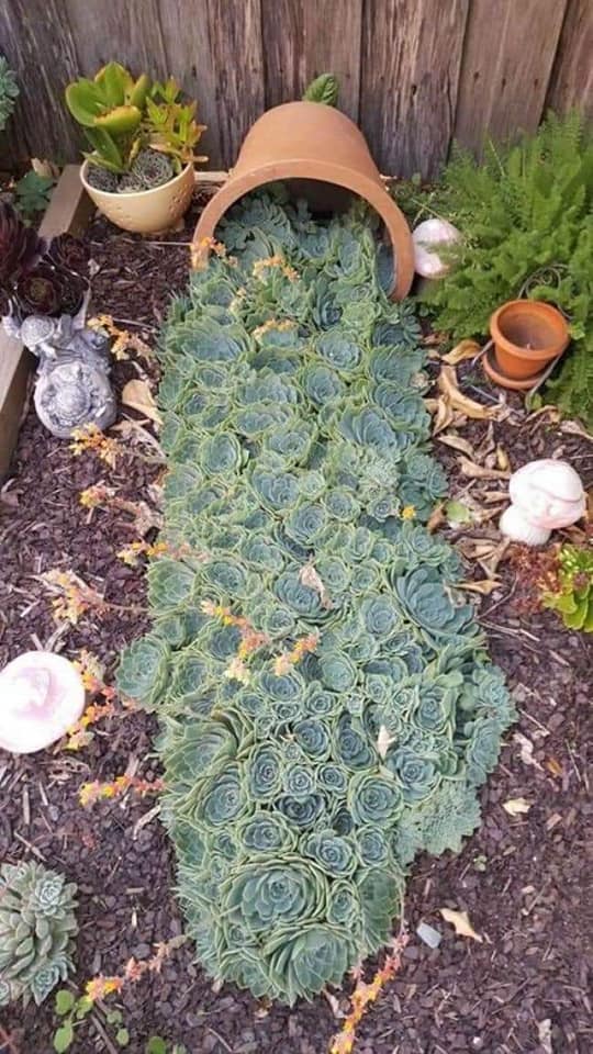 Tips to Help You Decorate Your Garden (19)
