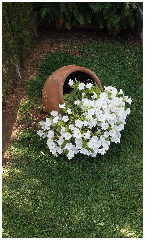 Tips to Help You Decorate Your Garden (20)