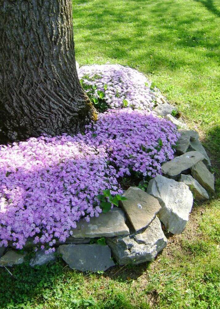 03-lawn-edging-ideas-homebnc