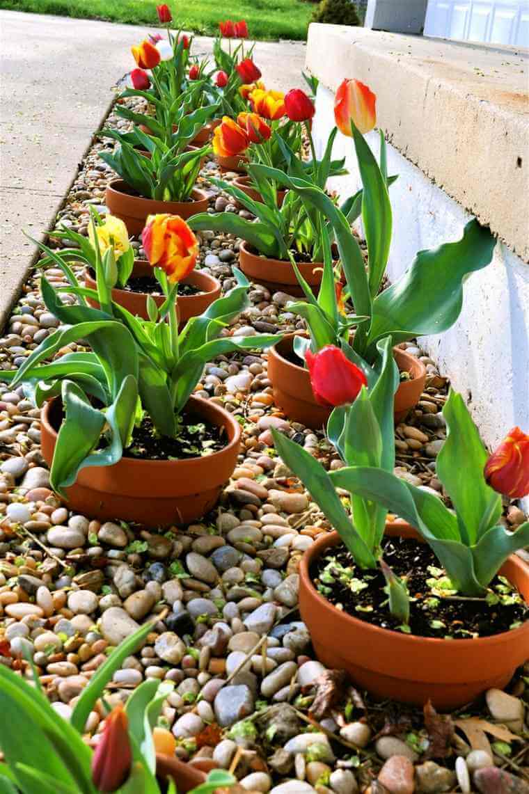 06-front-yard-landscaping-garden-ideas-homebnc