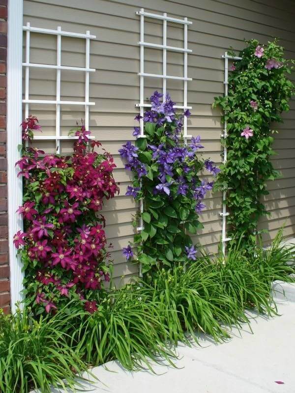 09-front-yard-landscaping-garden-ideas-homebnc