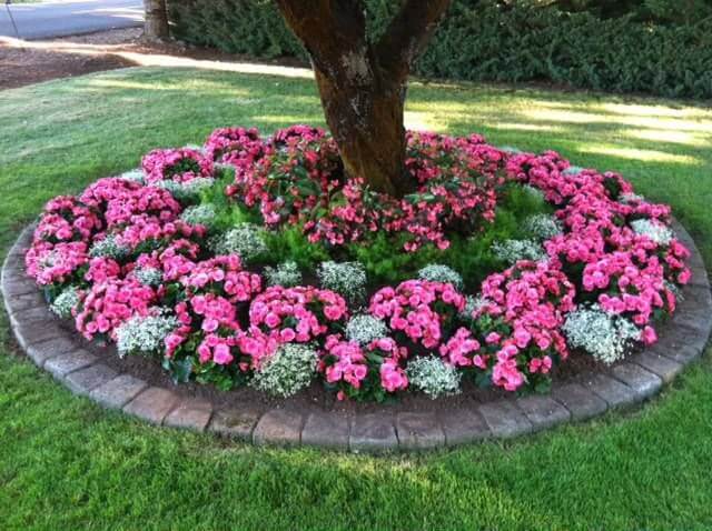 11-front-yard-landscaping-garden-ideas-homebnc