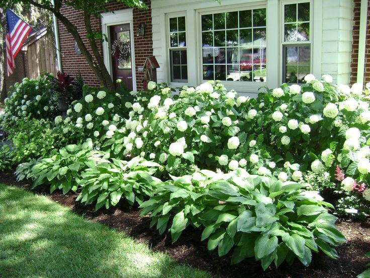 14-front-yard-landscaping-garden-ideas-homebnc