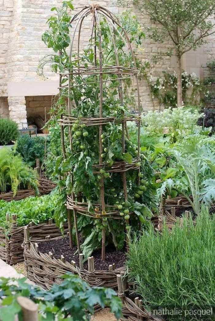 tomato-support-ideas-10