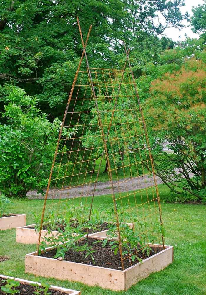 tomato-support-ideas-6