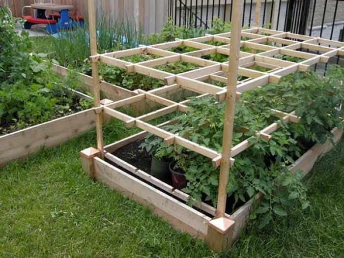 tomato-support-ideas-8