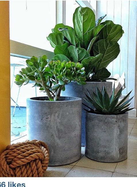 25 Awesome Indoor Garden Planting Projects To Start In The New Year