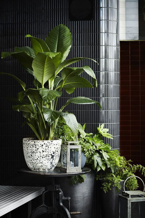 6 Must-Know Decorating Tips for Your Living Room