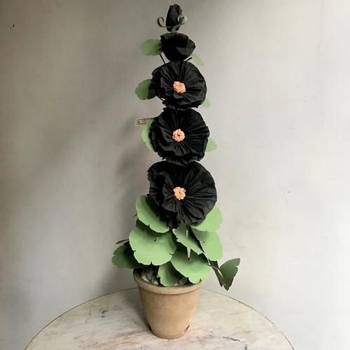 John Derian Company Inc_ The Green Vase Potted Black Hollyhock