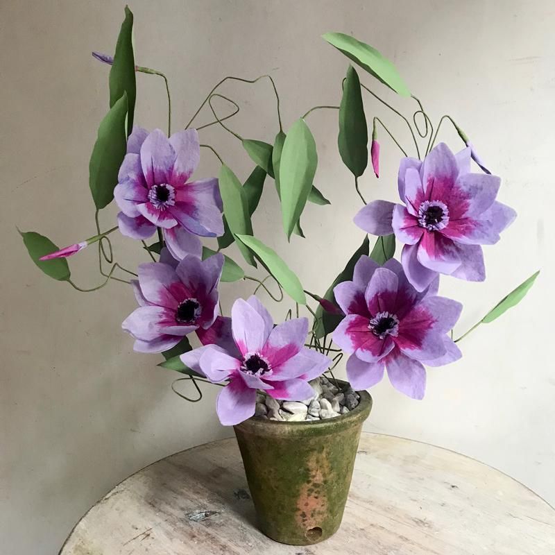 John Derian Company Inc_ The Green Vase Potted Purple Clematis