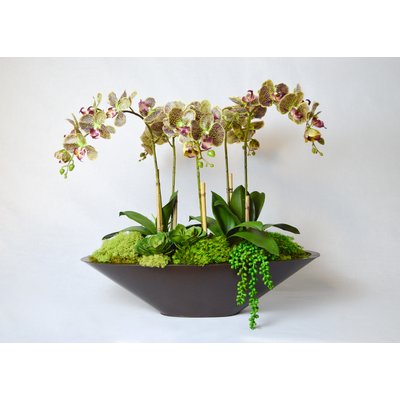 Orchid Floral Arrangement in Metal Pot