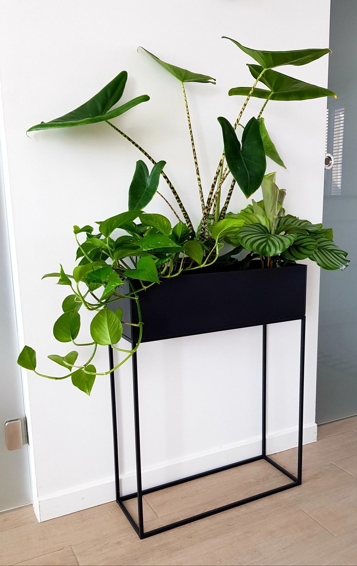 home design