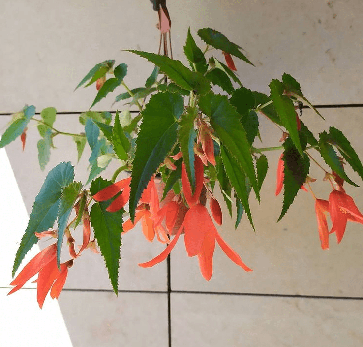 Screenshot_2020_12_24_at_23.48.43