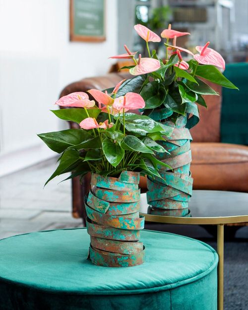 Neon Houseplants 5