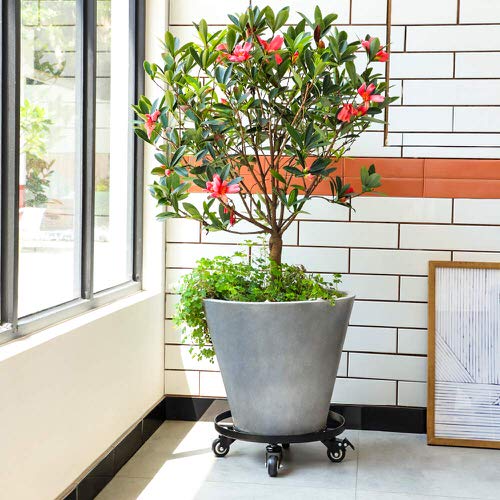 Do These Things Before Planting Any Houseplants 7