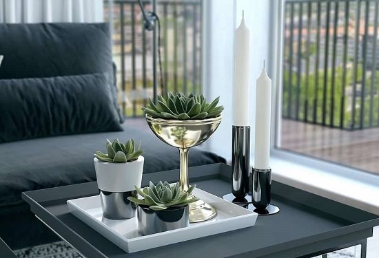 succulents