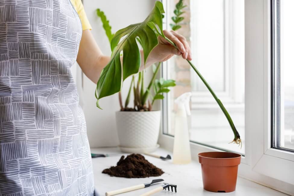Propagation