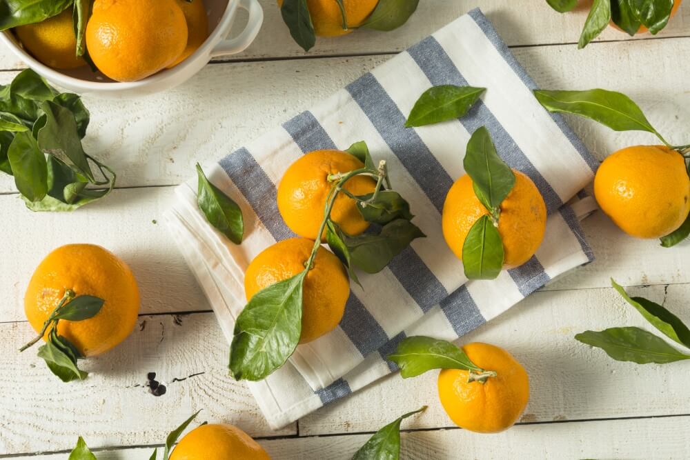 Satsuma Mandarin (Citrus unshiu)