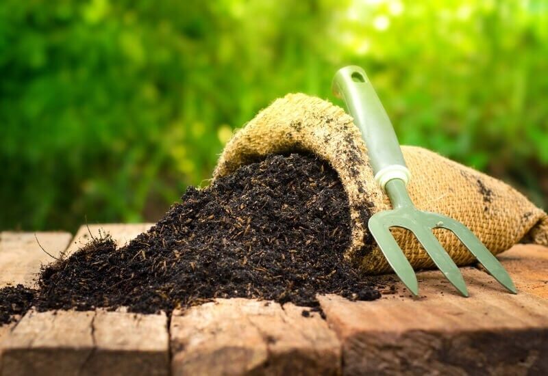 Green Tea The Benefits of Using Homemade Fertilizers for Houseplants
