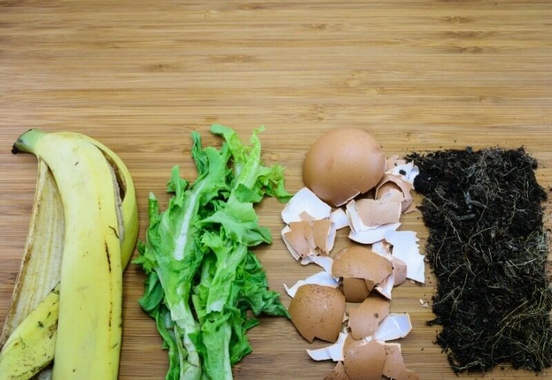 Natural Homemade Fertilizer for Houseplants How to Make Natural Homemade Fertilizer for Houseplants