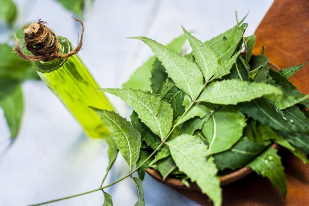 Solutions for pesticides and insecticides