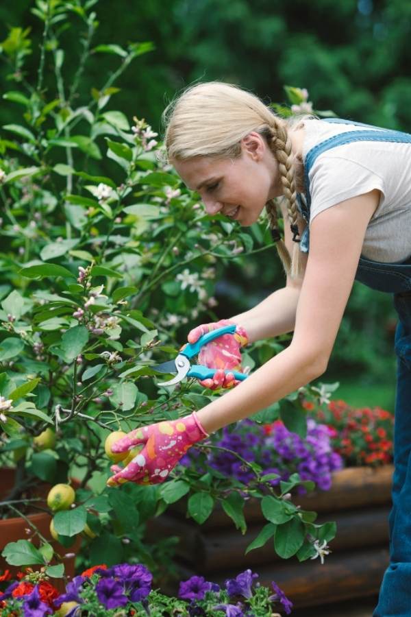 Prune As Needed