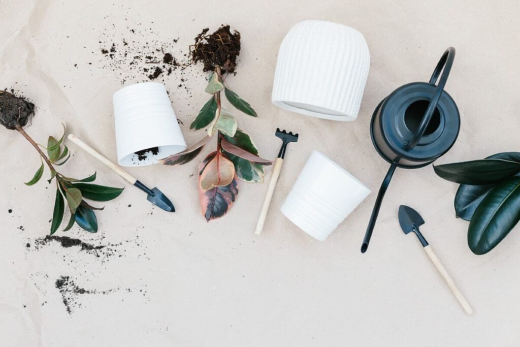 What tools do I need when replanting a snake plant?