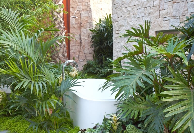Shower Plants for Bathroom Turn Your Bathroom into a Garden