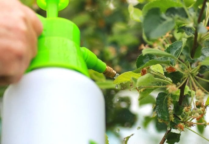 The case against chemical pesticides The case against chemical pesticides