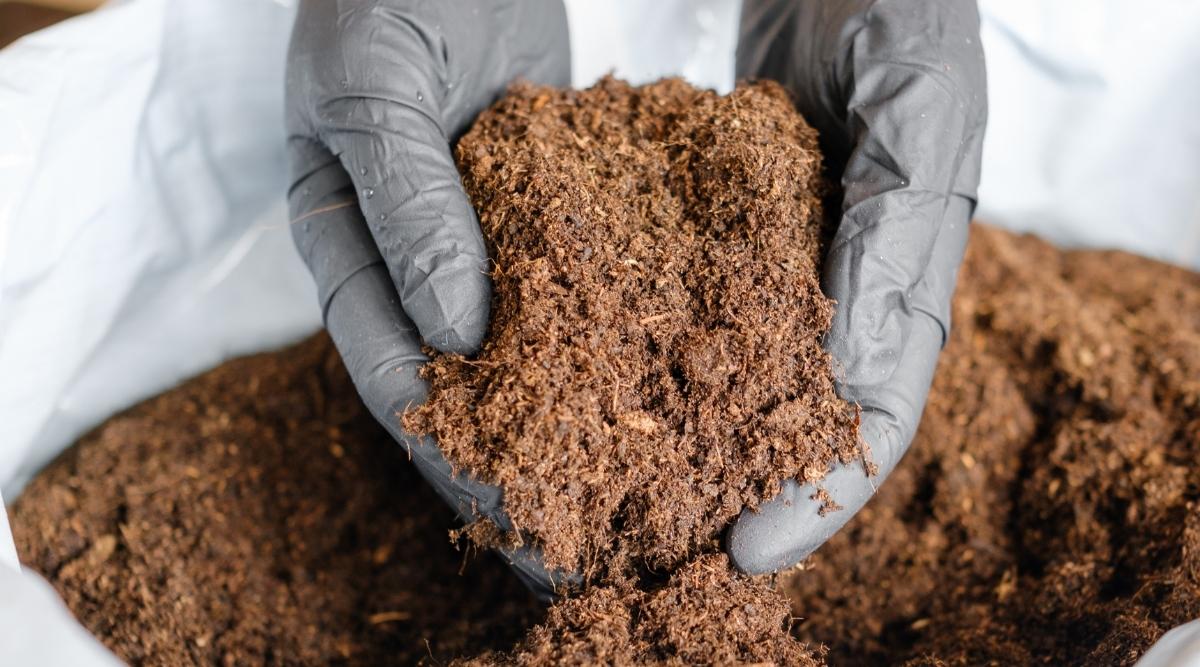 Person holding well-drained potted plant mixture