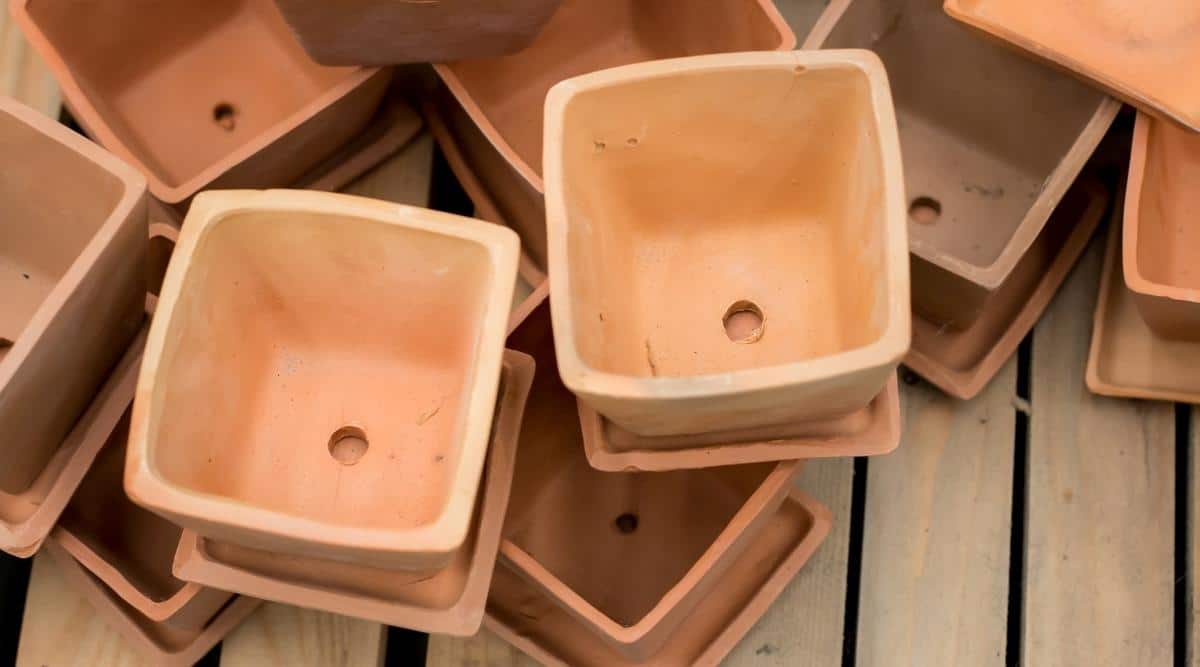 Planting Vessels With Drainage Holes
