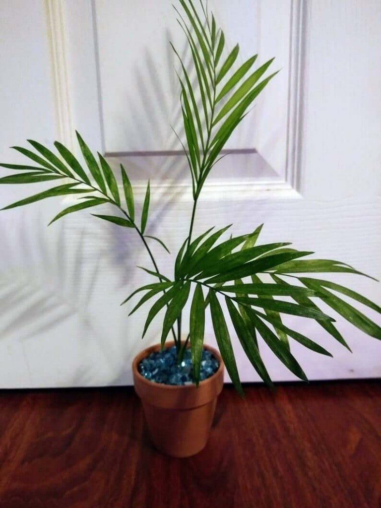 Cascade Palm from Etsy