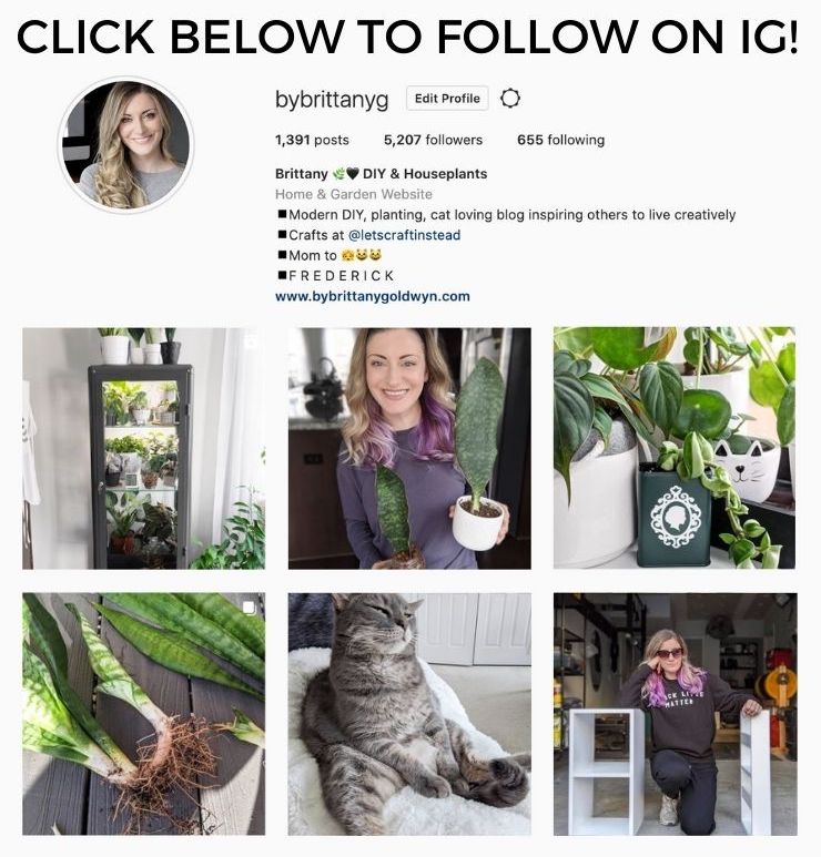 screenshot of instagram account