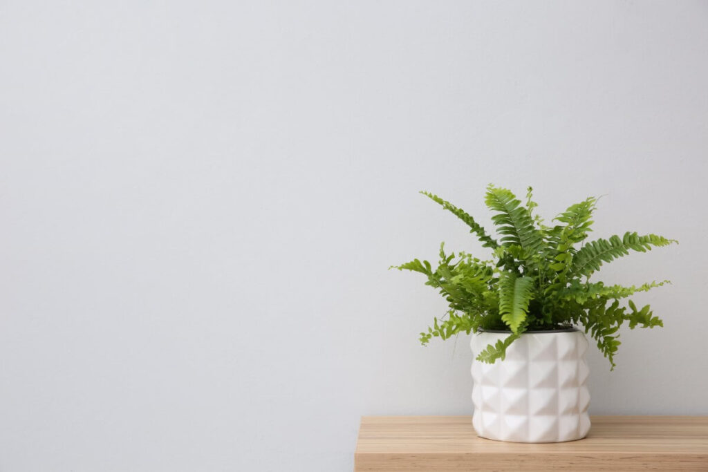 According to plant considerations