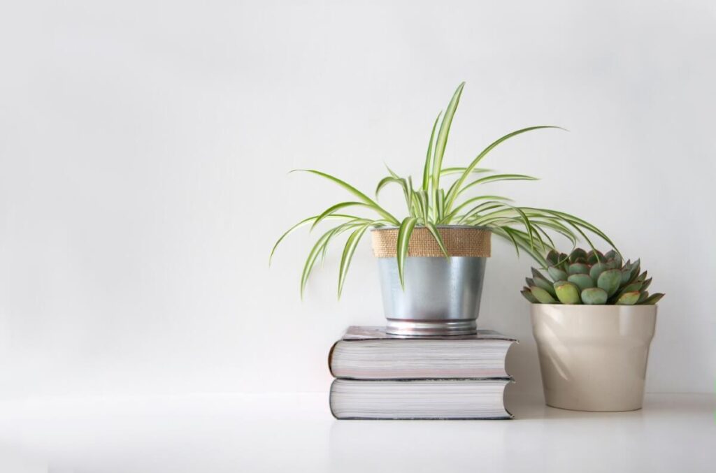 According to plant needs