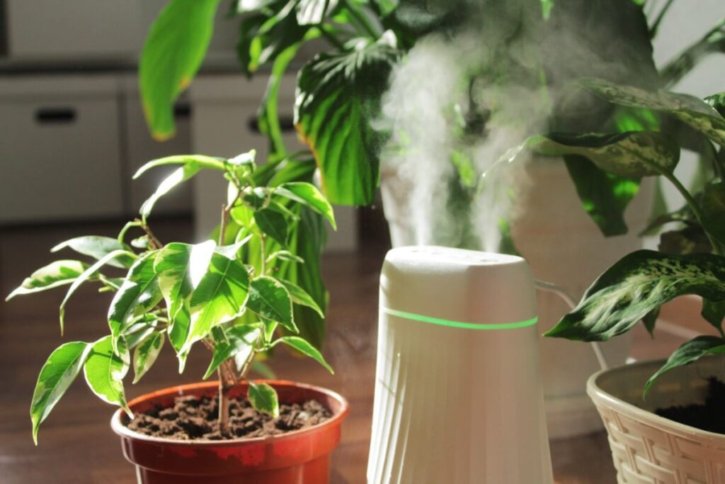 How to increase the humidity in your home