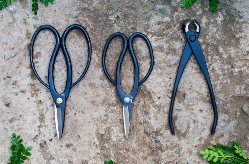 What are the essential tools for pruning anthurium plants?