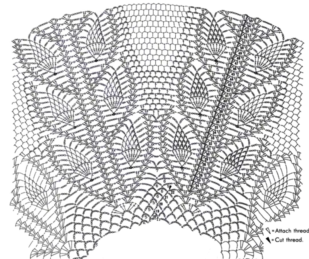 383959905_704070508423932_8418727863621995695_n