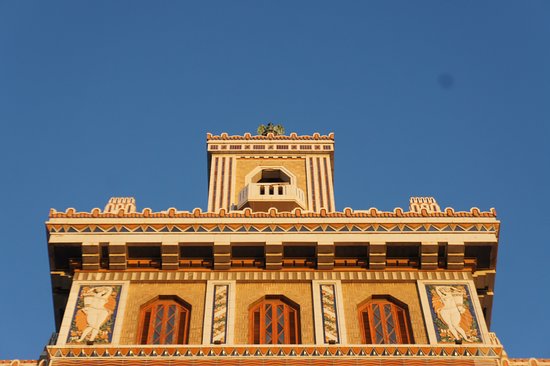 la-chauve-souri