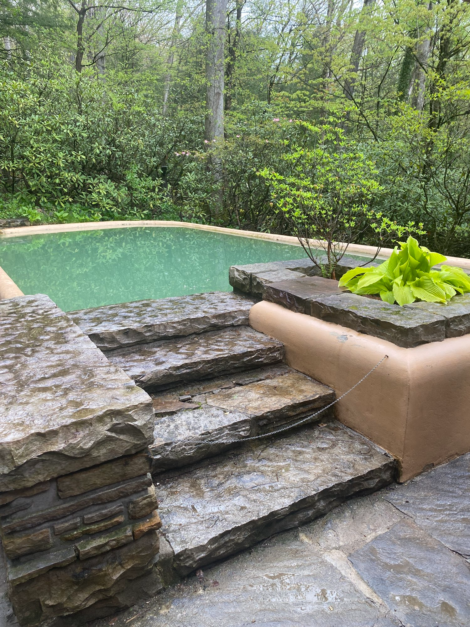 FallingwaterPool2