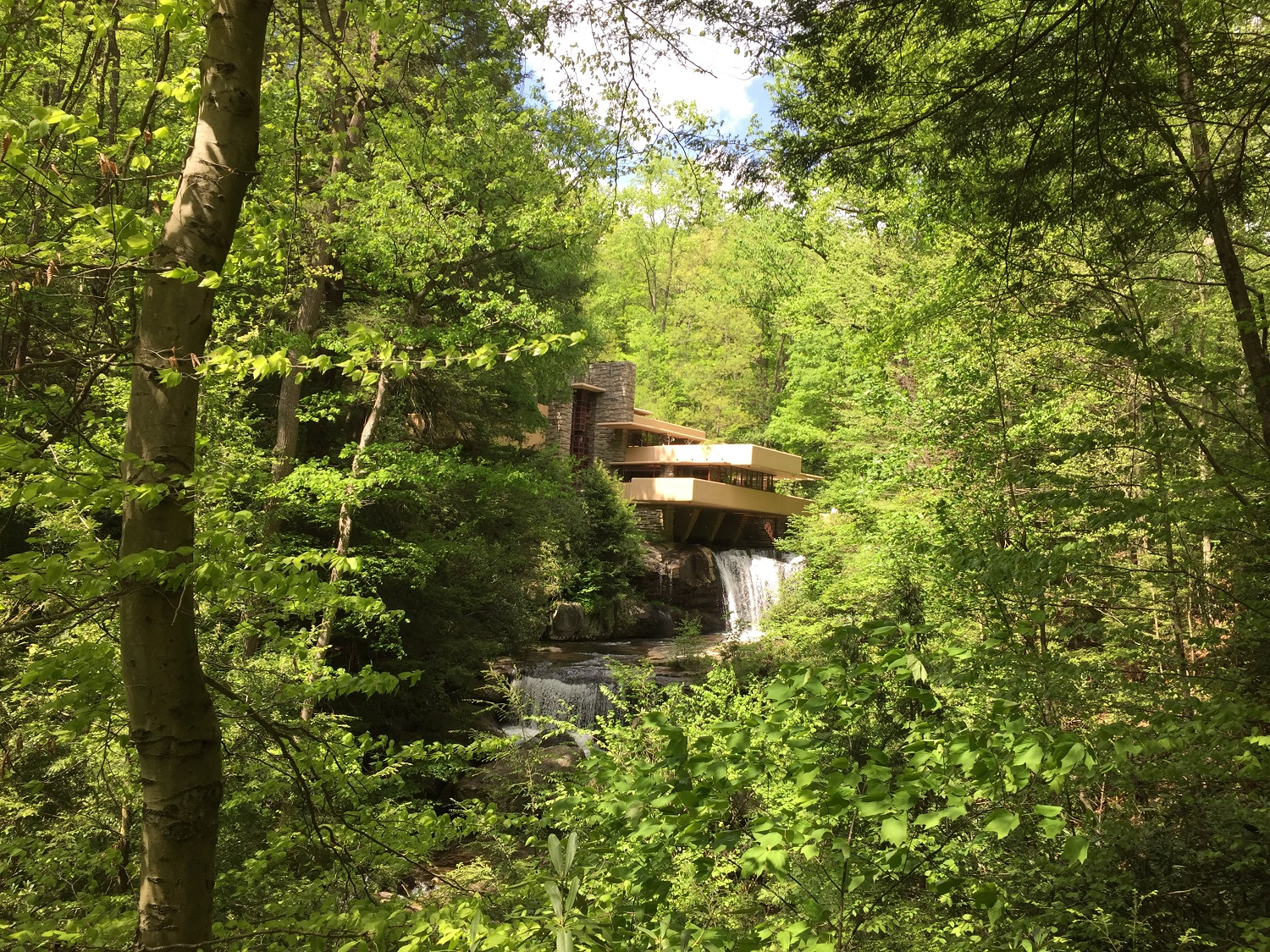 Frank-lloyd-wright’s+fallingwater