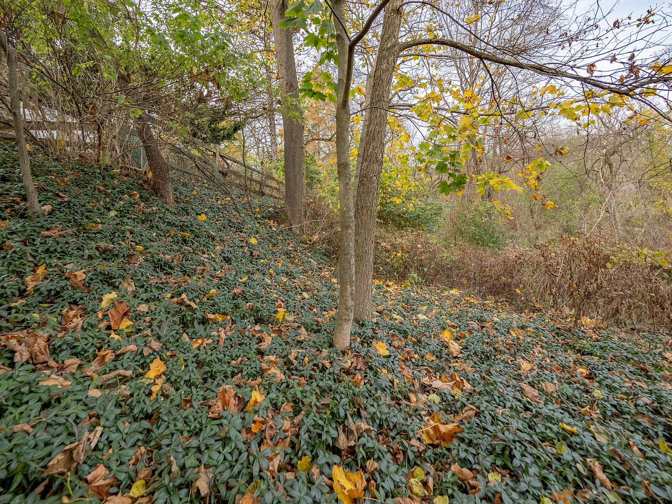 a61f7afe440af4a87ac213ab0413ec84-uncropped_scaled_within_1344_1008