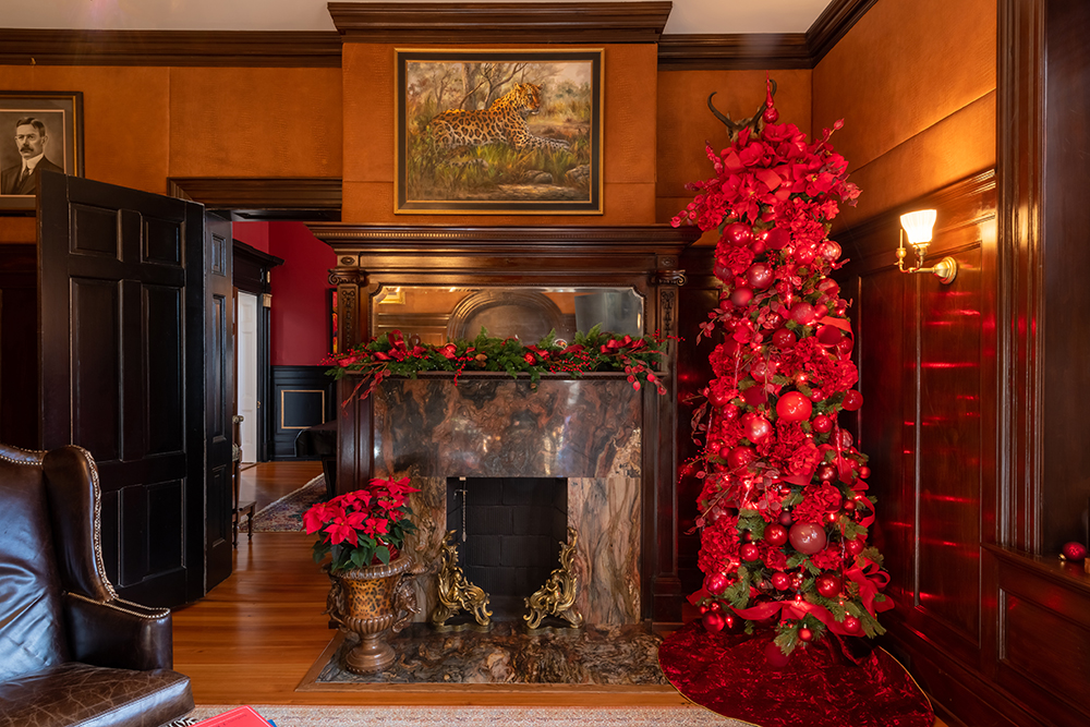 DSC_7729-HDR.jpg
