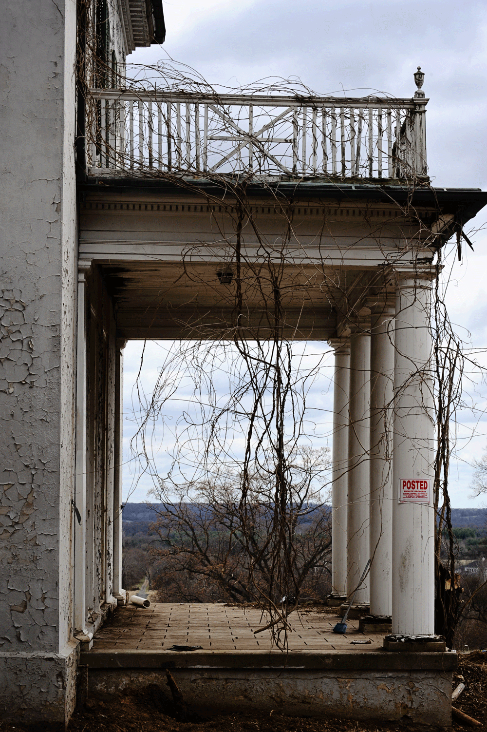hairy_portico_img0507.png