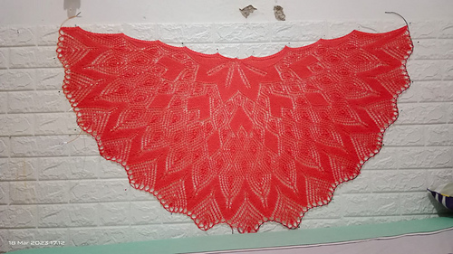 IMG-20230318-WA0003_medium