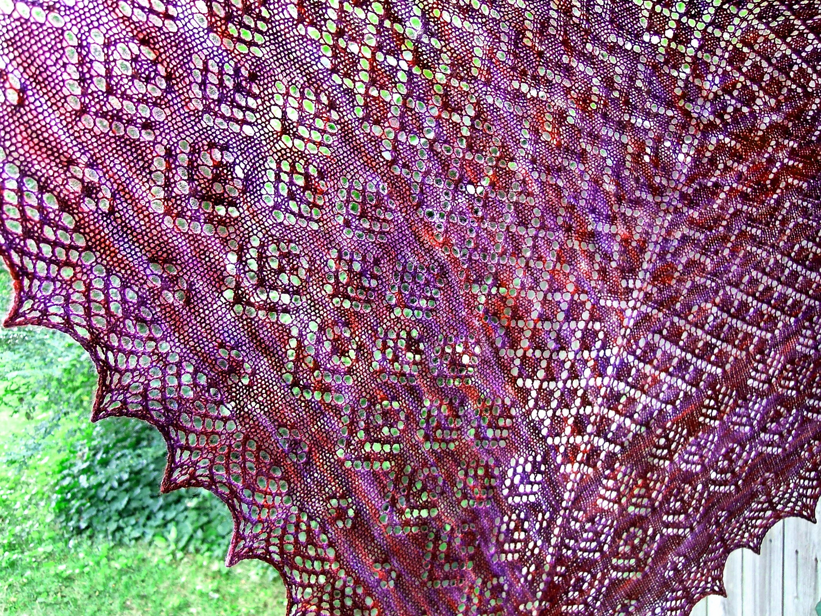 edwina_and_liz_039rav_red